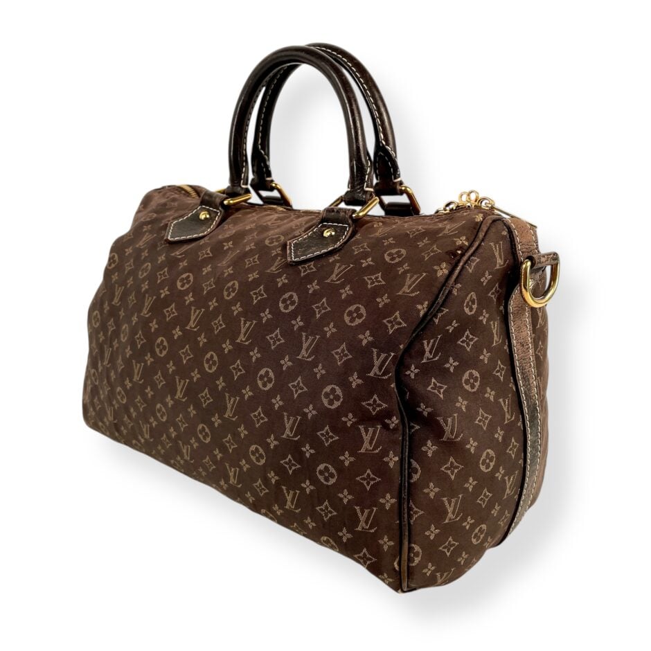 Louis Vuitton Mini Lin Speedy Bandouliere