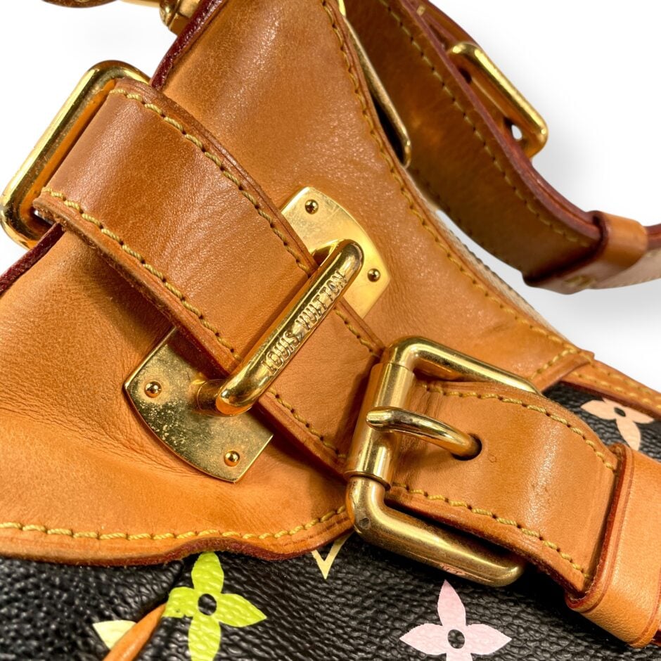 Louis Vuitton Multicolor Greta